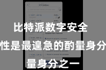 比特派数字安全 安全性是最遑急的酌量身分之一