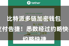 比特派多链加密钱包 支付告捷!悉数经过约略快捷