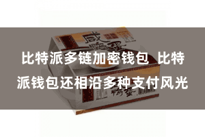 比特派多链加密钱包  比特派钱包还相沿多种支付风光