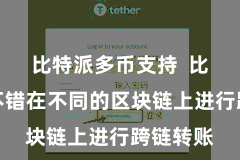 比特派多币支持  比如用户不错在不同的区块链上进行跨链转账