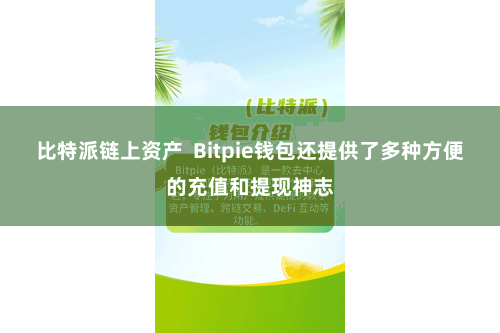 比特派链上资产  Bitpie钱包还提供了多种方便的充值和提现神志