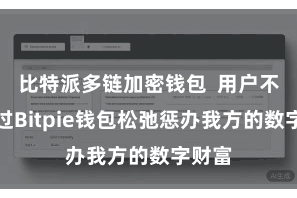 比特派多链加密钱包  用户不错通过Bitpie钱包松弛惩办我方的数字财富