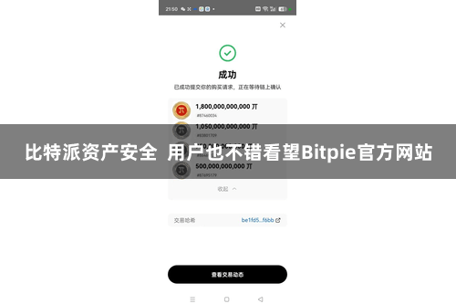 比特派资产安全  用户也不错看望Bitpie官方网站