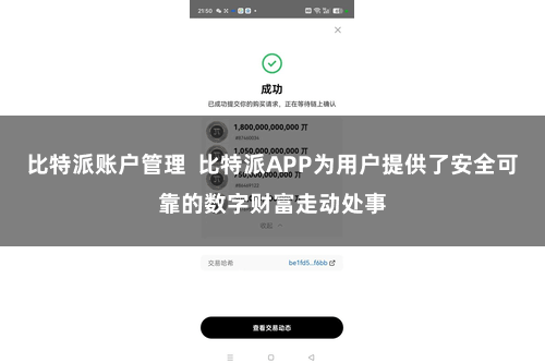 比特派账户管理  比特派APP为用户提供了安全可靠的数字财富走动处事