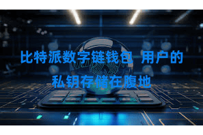 比特派数字链钱包  用户的私钥存储在腹地
