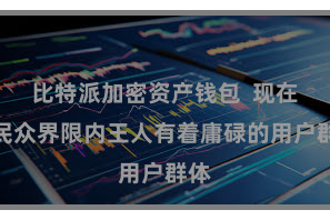 比特派加密资产钱包  现在在民众界限内王人有着庸碌的用户群体