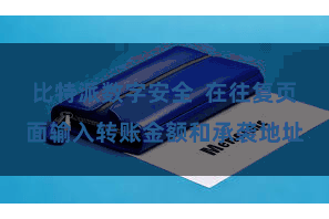 比特派数字安全  在往复页面输入转账金额和承袭地址