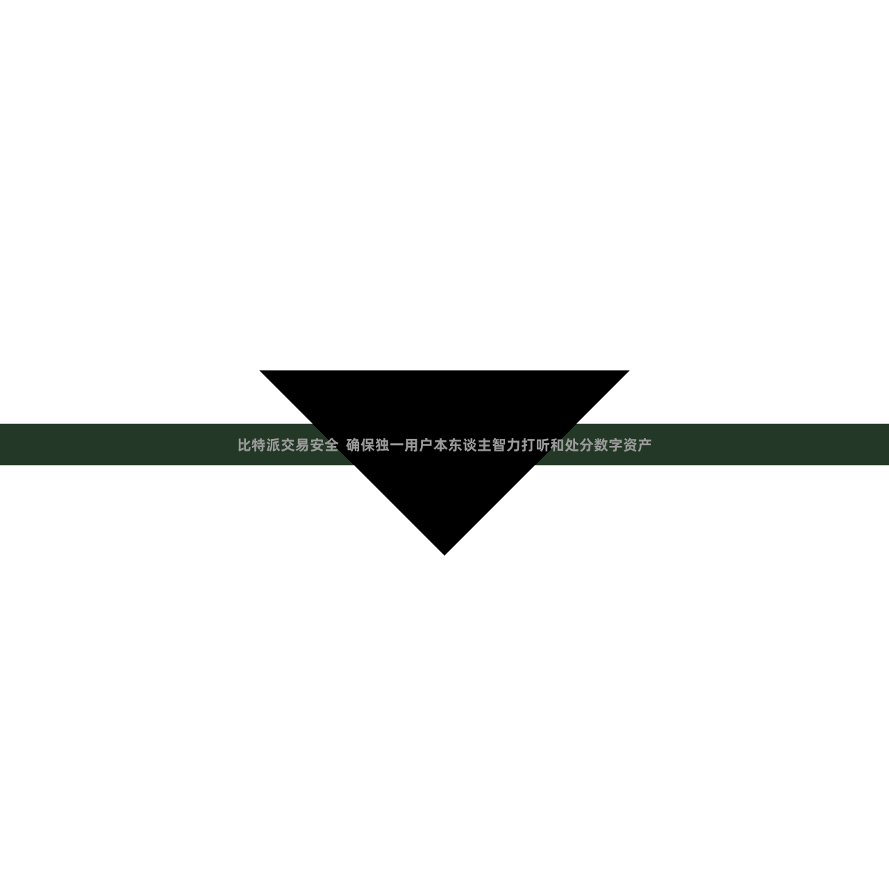 比特派交易安全  确保独一用户本东谈主智力打听和处分数字资产